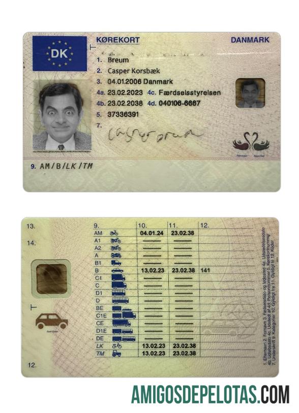 Carta de condução da Dinamarca 2023 presente baixar para verificação